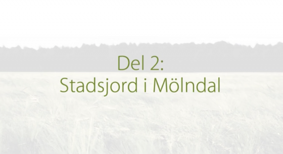 DEL2STADSJORD