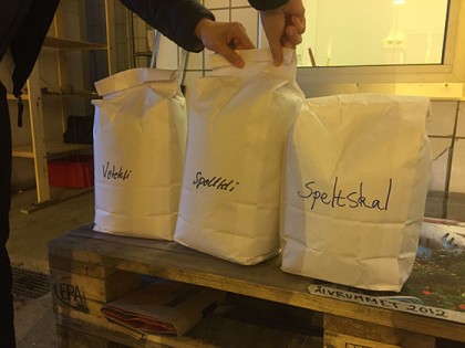 Sara Hjalmarsson har fixat sponsor till Slakthuset kräsna Molitor-baggar. Bland annat ekologiskt speltkli. 